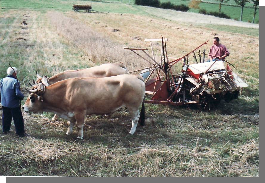 Cliquez pour agrandir