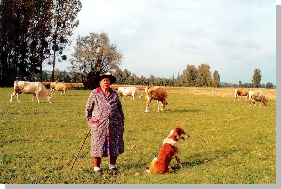 cliquez pour agrandir