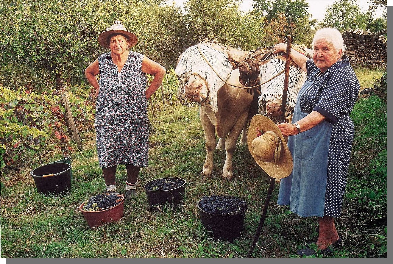 Cliquez pour agrandir
