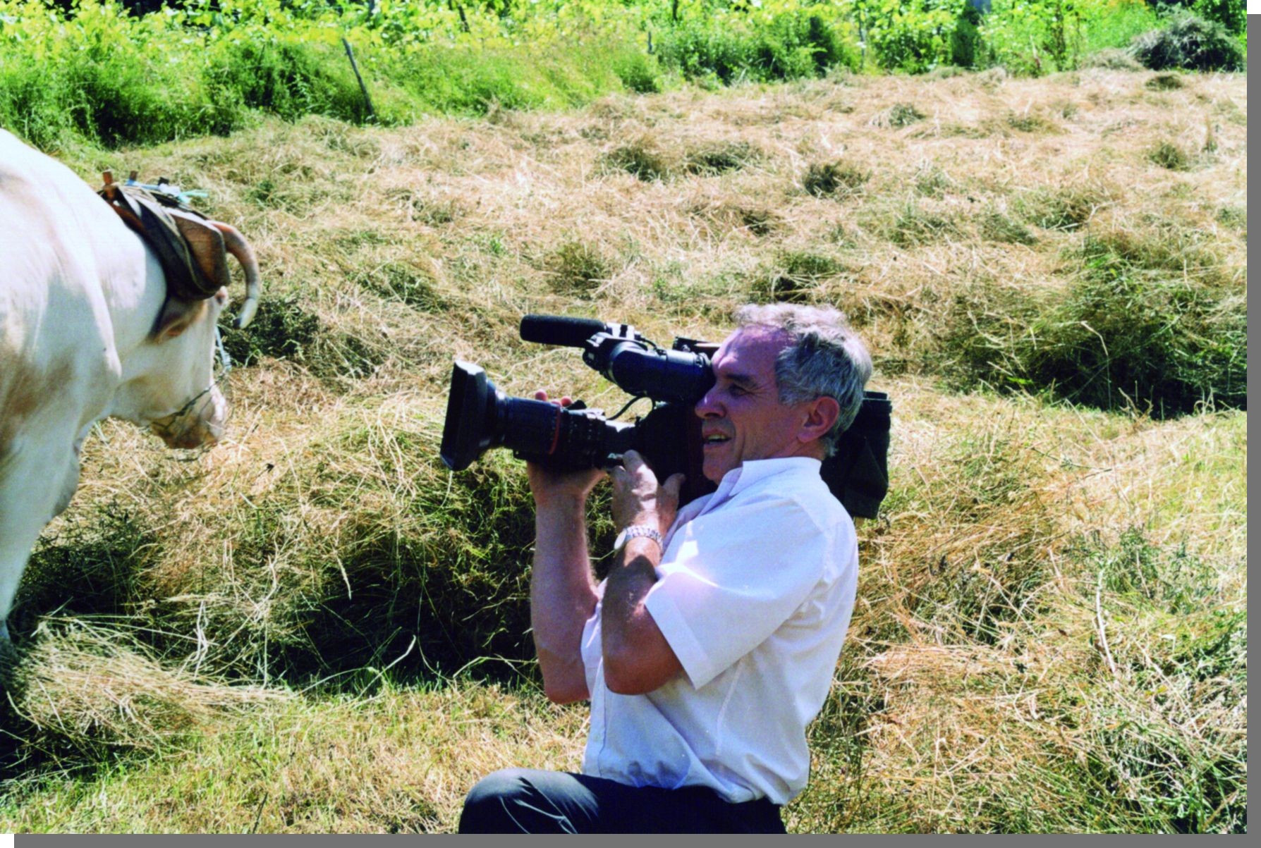 Cliquez pour agrandir