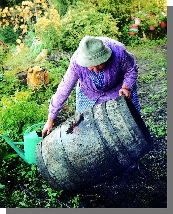 Cliquez pour agrandir