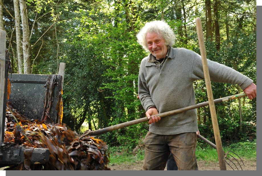 Cliquez pour agrandir