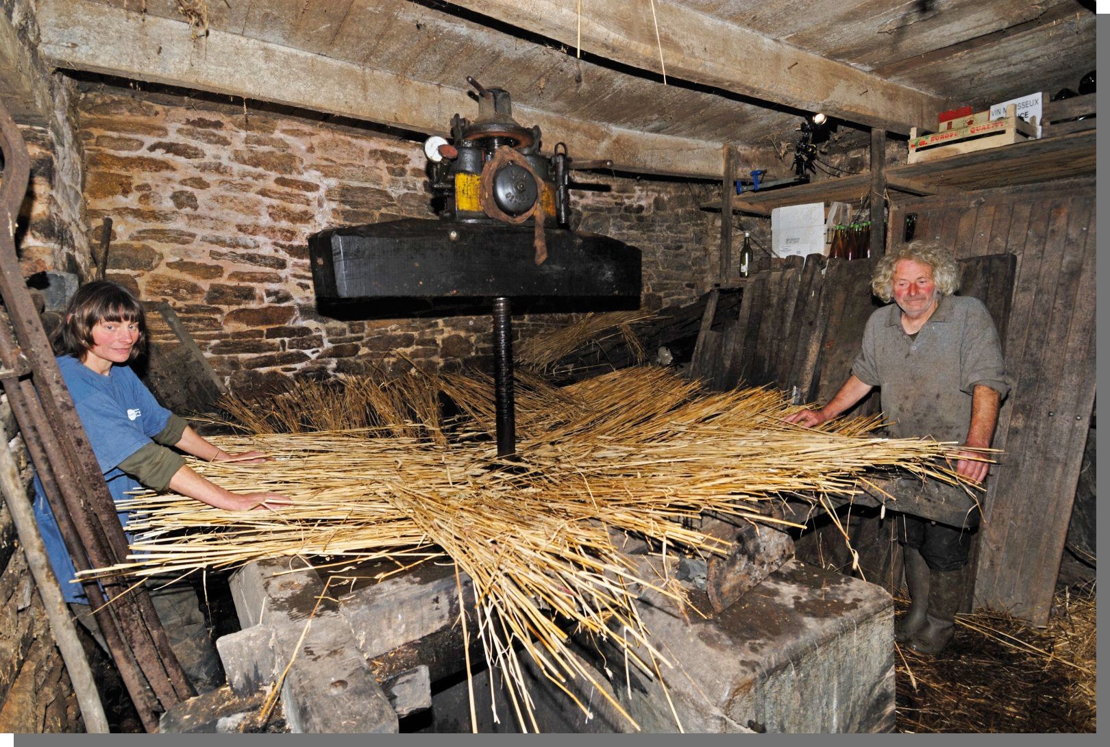 Cliquez pour agrandir