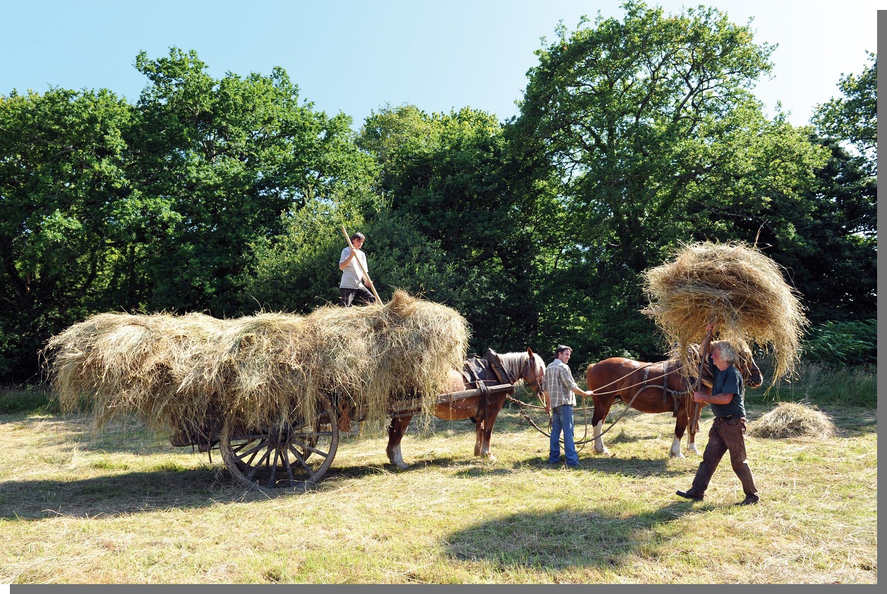 Cliquez pour agrandir