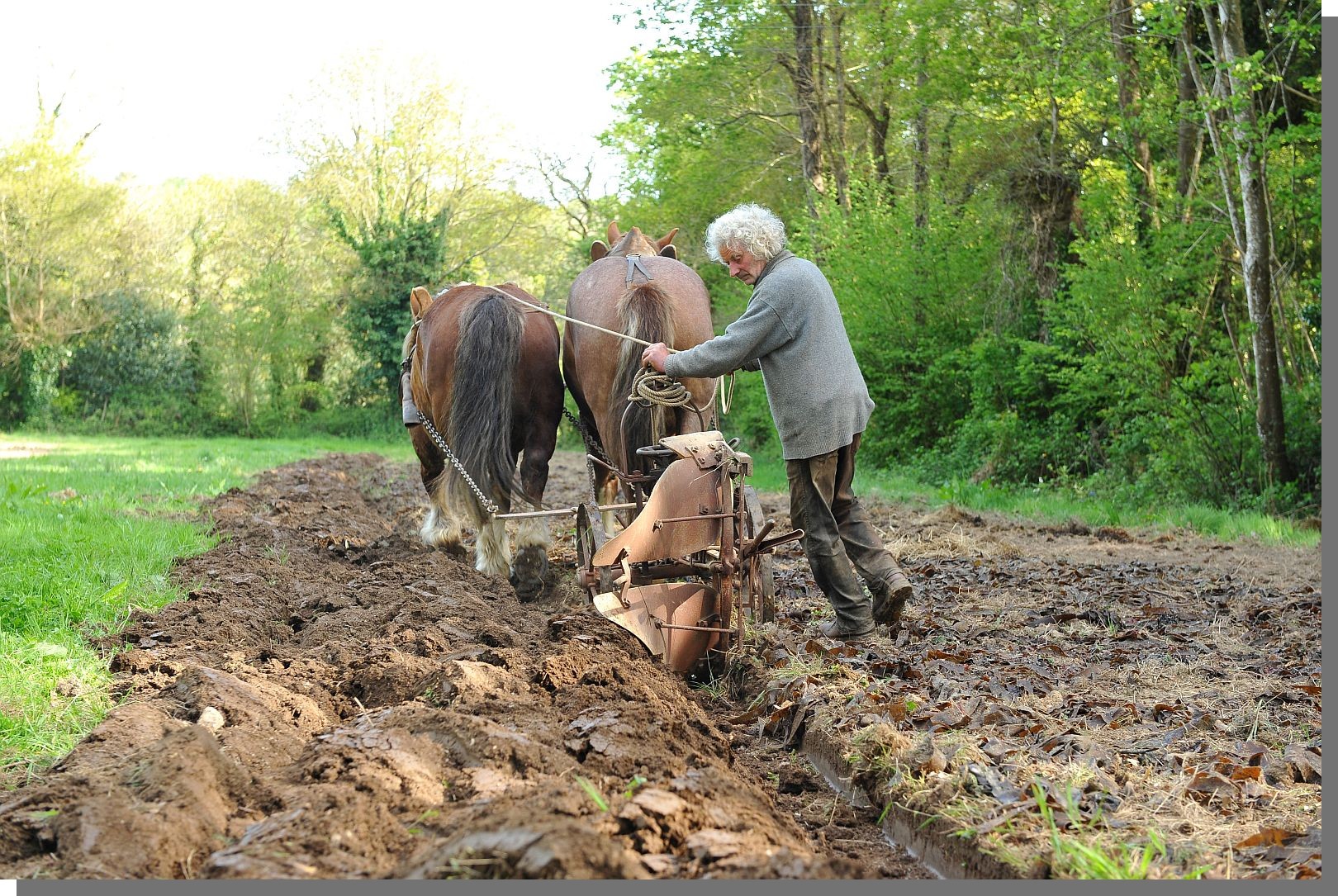 Cliquez pour agrandir