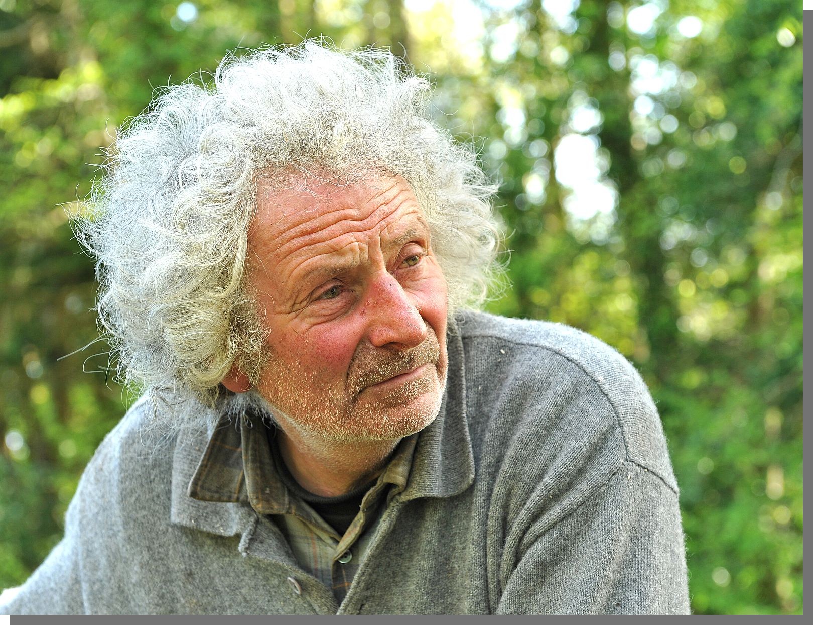 Cliquez pour agrandir