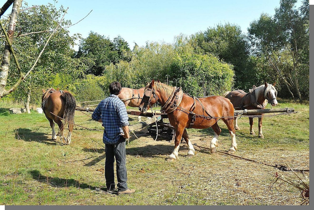 Cliquez pour agrandir