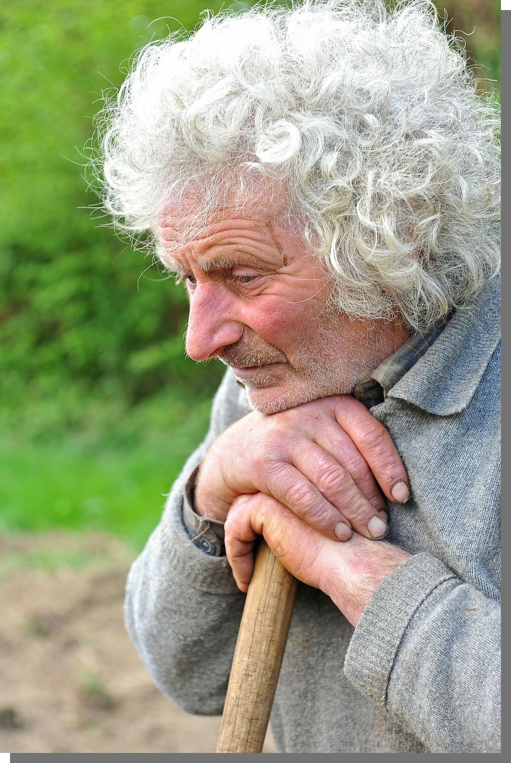 Cliquez pour agrandir